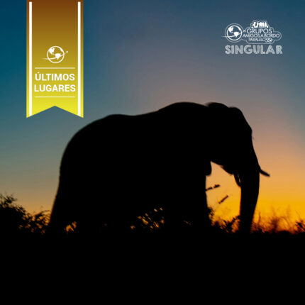 Grande Viagem ao Sul da África