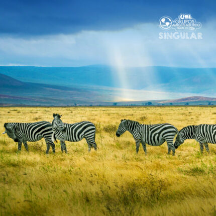 Quênia, Tanzânia e Zanzibar