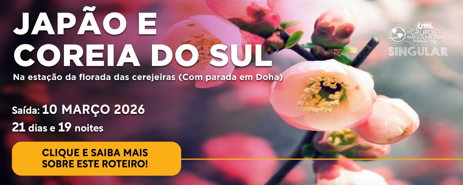 Gastronomia asiática: sabores do Japão e da Coreia do Sul