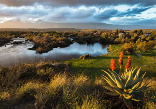 Cidade do Cabo e arredores: paisagens, vinhedos e vida urbana